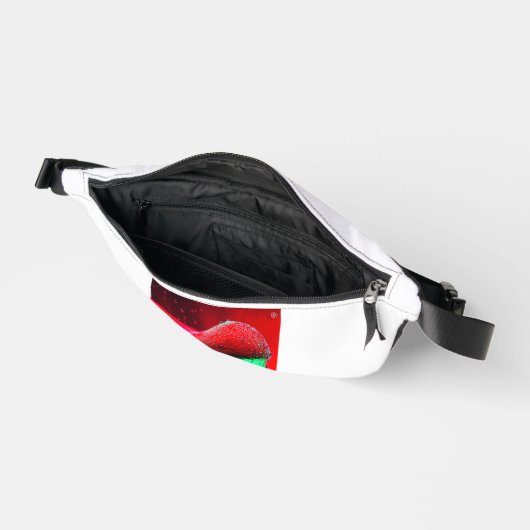 背部 ファニーパック (見開き)