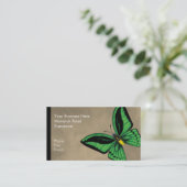 背面および腹部ケルンのBirdwingの蝶 名刺 (スタンド正面)