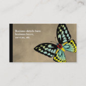 背面および腹部ケルンのBirdwingの蝶 名刺 (裏面)