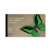 背面および腹部ケルンのBirdwingの蝶