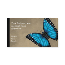 背面および腹部Morphoの青い蝶