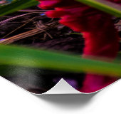 背面20 x 20ポスター紙（半光沢） ポスター (コーナー)