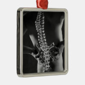 背骨のコードの眺め メタルオーナメント (右)