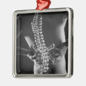 背骨のコードの眺め メタルオーナメント (左)