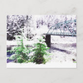 背骨 ポストカード (正面)