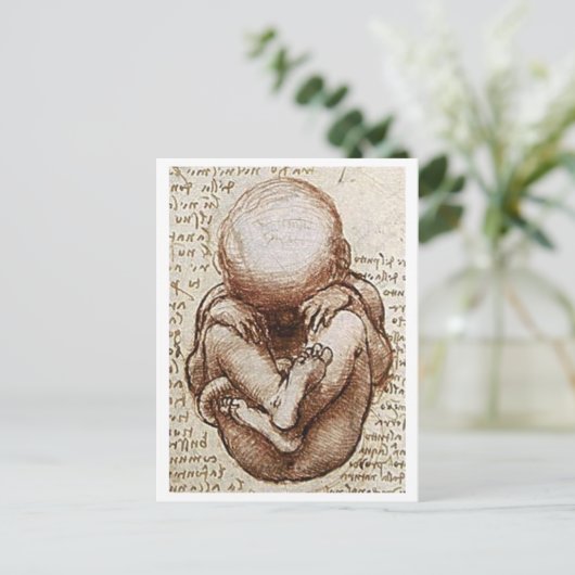 胎児 ポストカード (スタンド正面)