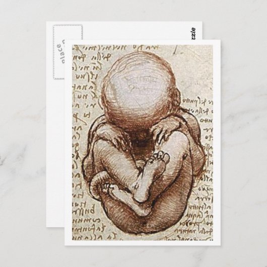 胎児 ポストカード (正面/裏面)