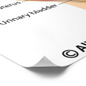 胎内のヒト胎児の標識ポスター ポスター (角)