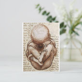 胎内の胎児の見解詳細 ポストカード (スタンド正面)