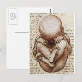 胎内の胎児の見解詳細 ポストカード (正面/裏面)