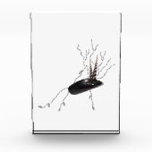 胎盤解剖学の健康科学生物学の詩芸術 フォトブロック (正面)