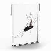 胎盤解剖学の健康科学生物学の詩芸術 フォトブロック (左)