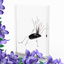 胎盤解剖学の健康科学生物学の詩芸術