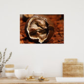 胚のある恐竜の卵 ポスター (キッチン)