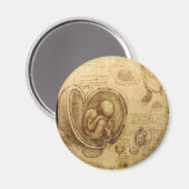 胚勉強 マグネット (正面/裏面)