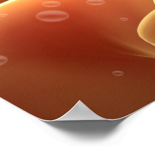 胚発生4 ポスター (角)