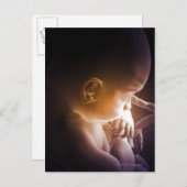 胚発生5 ポストカード (正面/裏面)