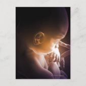 胚発生5 ポストカード (正面)