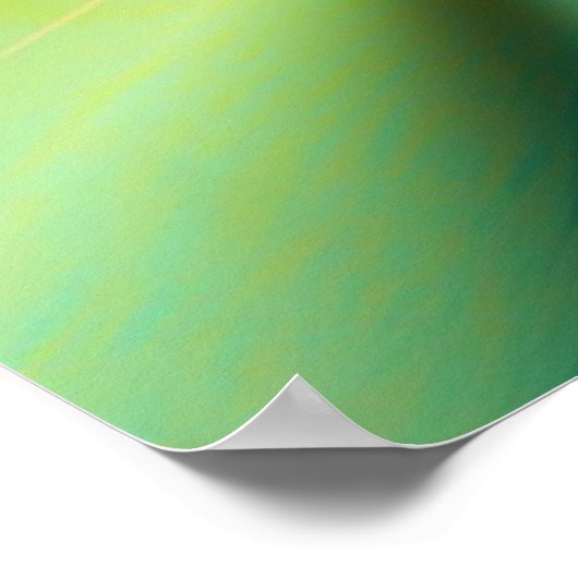 胚。 ポスター (角)