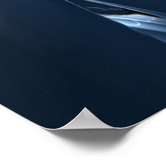 胞子融合 ポスター (角)