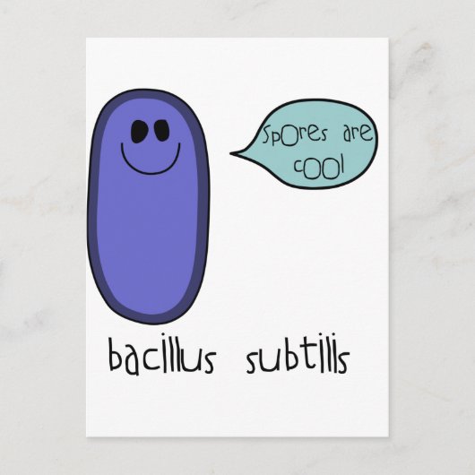 胞子 ポストカード (正面)