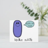 胞子 ポストカード (スタンド正面)