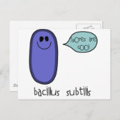 胞子 ポストカード (正面/裏面)