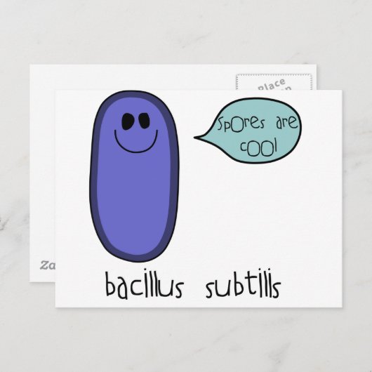 胞子 ポストカード (正面/裏面)