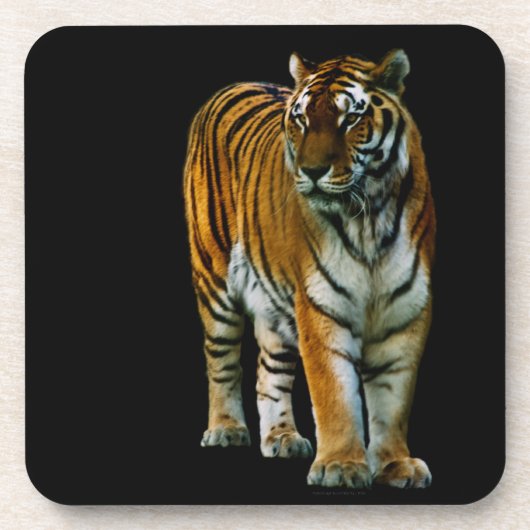 胡林コルクコースター コースター (正面)