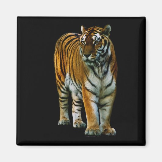 胡林磁石 マグネット (正面)