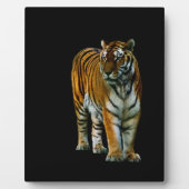 胡林粥腫 フォトプラーク (正面)