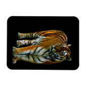 胡林高級磁石 マグネット (横)