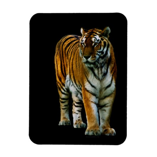 胡林高級磁石 マグネット (縦)