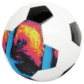 胡椒とプラスチックを混ぜ合わせた サッカーボール (3/4)