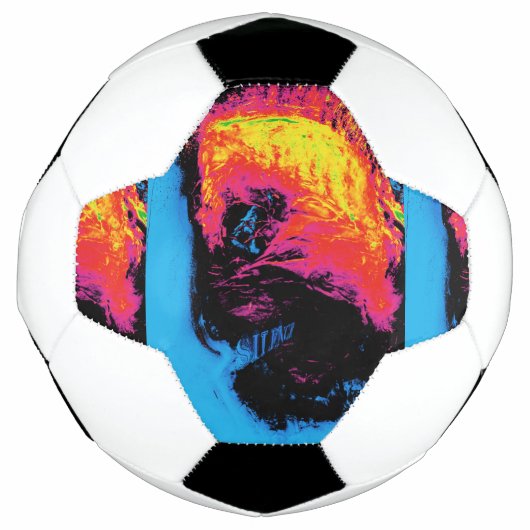 胡椒とプラスチックを混ぜ合わせた サッカーボール (正面)