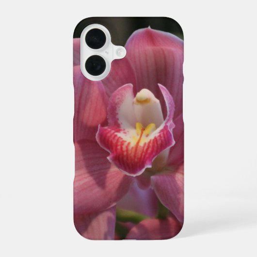 胡蝶蘭の花びら iPhone カバー (裏面)