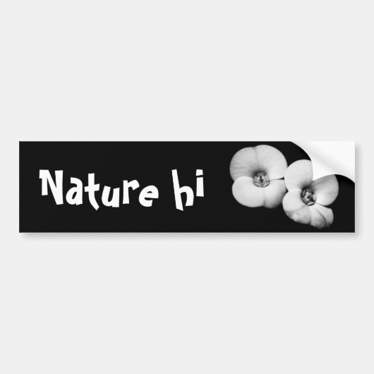 胸冠 バンパーステッカー (正面)