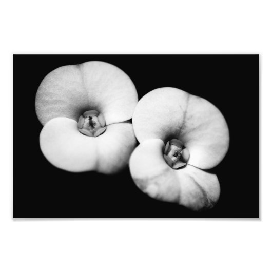 胸冠 フォトプリント            (正面)