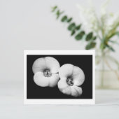 胸冠 ポストカード (スタンド正面)