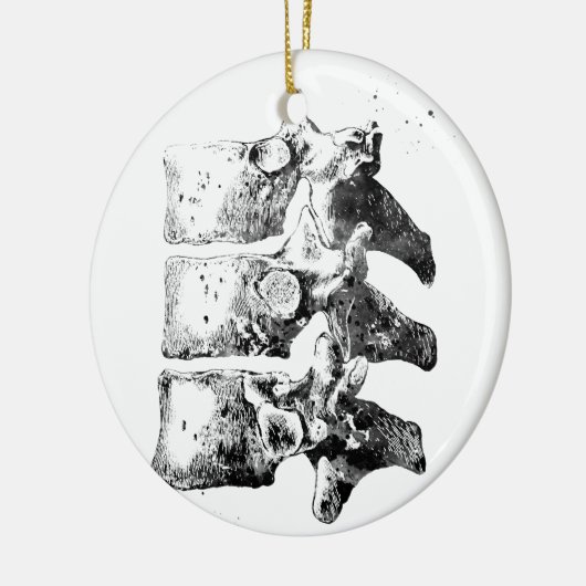 胸椎 セラミックオーナメント (左)