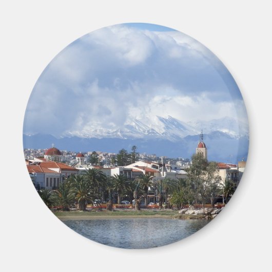 胸腺磁石 マグネット (正面)