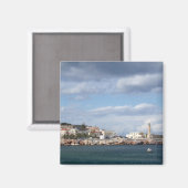 胸腺磁石 マグネット (正面/裏面)