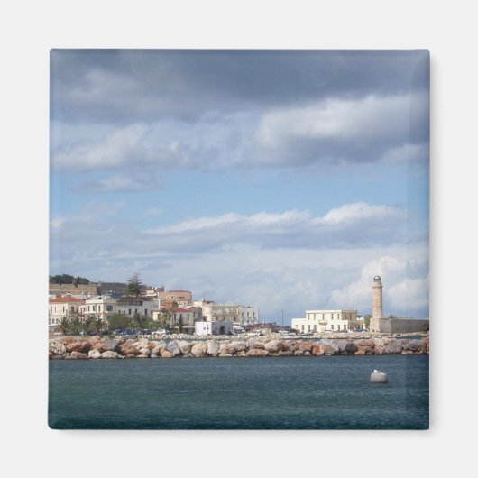 胸腺磁石 マグネット (正面)