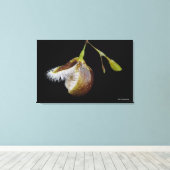 胸膜下垂体 キャンバスプリント (インサイチュ (ウッドフロア))