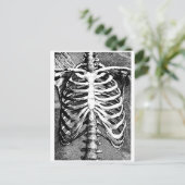 胸部スケッチ ポストカード (スタンド正面)