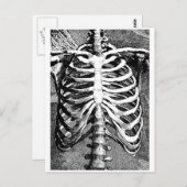 胸部スケッチ ポストカード (正面/裏面)