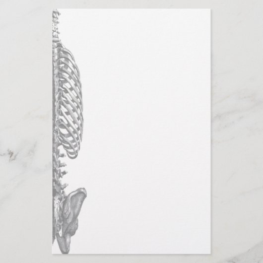 胸郭の文房具 便箋 (正面)