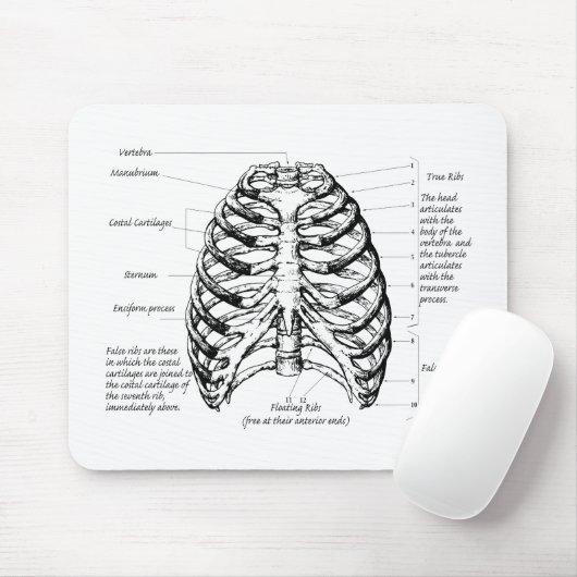 胸郭 マウスパッド (マウス)