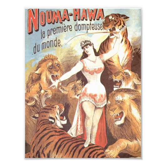 能馬はわの虎への囁き フォトプリント            (正面)