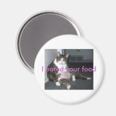 脂肪子猫 マグネット (正面/裏面)